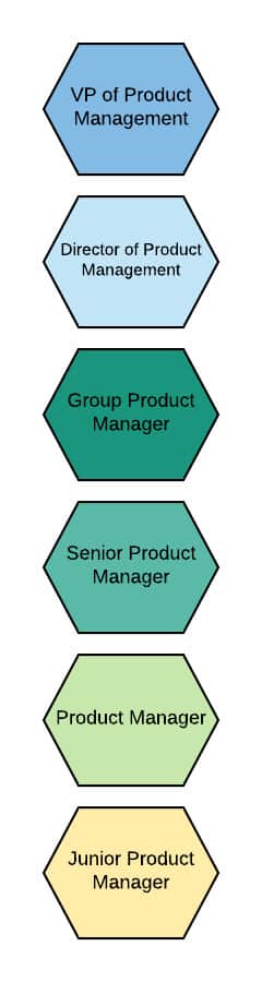 Single track product management career ladder